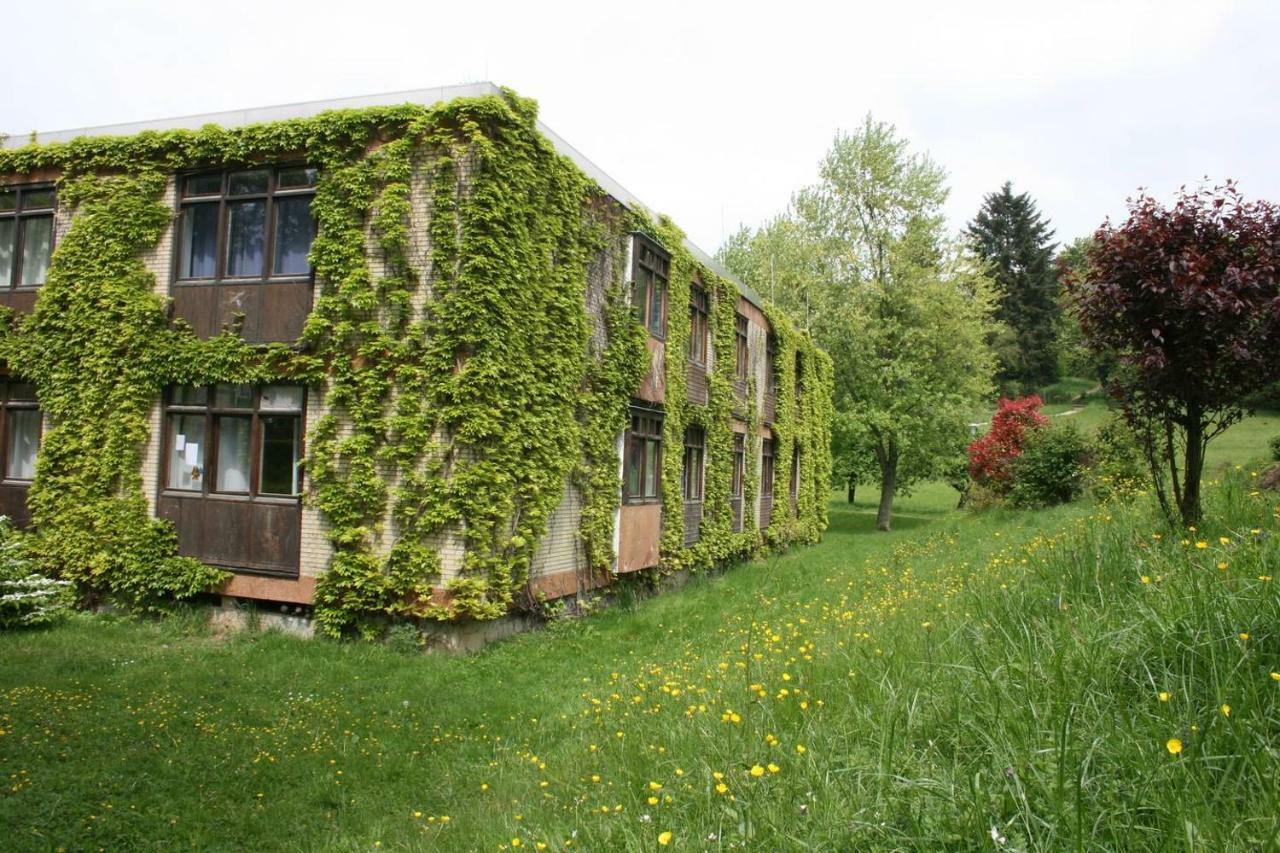 Parkblick Appartement - Entspannung Pur! Ober-Hambach Esterno foto